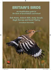 Omslag van Britain's Birds An Identification Guide to the Birds of Great Britain and Ireland Second Edition, Fully Revised and Updated