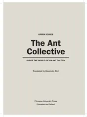 Omslag van The Ant Collective Inside the World of an Ant Colony
