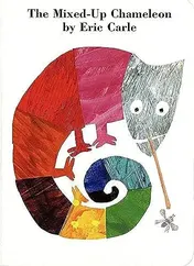 Omslag van The Mixed-Up Chameleon Board Book