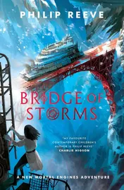 Omslag van Bridge of Storms