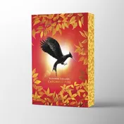 Omslag van Catching Fire Deluxe