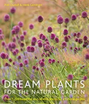 Omslag van Dream Plants for the Natural Garden