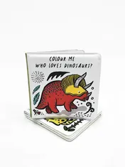 Omslag van Who Loves Dinosaurs? (Wee Gallery Colour Me Bath Book)