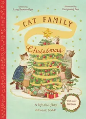 Omslag van Cat Family Christmas An Advent Lift-the-Flap Book (with Over 140 Flaps)
