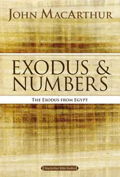Omslag van Exodus and Numbers The Exodus from Egypt