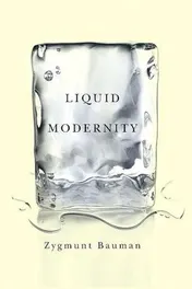 Omslag van Liquid Modernity
