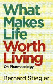 Omslag van What Makes Life Worth Living On Pharmacology