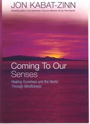 Omslag van Coming to Our Senses Healing Ourselves and the World Through Mindfulness