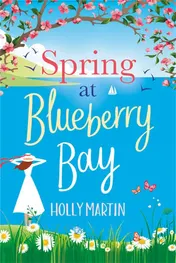 Omslag van Spring at Blueberry Bay An Utterly Perfect Feel-Good Romantic Comedy