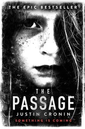 Omslag van The Passage