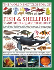 Omslag van The Illlustrated Encyclopedia of Fish & Shellfish of the World A Natural History Identification Guide To The Diverse Animal Life Of Deep Oceans, Open Seas, Reefs, Estuaries, Shorelines, Ponds, Lakes And Rivers Around The Globe