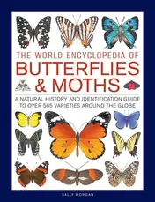 Omslag van The World Encyclopedia of Butterflies & Moths A Natural History And Identification Guide To Over 565 Varieties Around The Globe