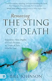 Omslag van Removing the Sting of Death Experience New Depths of God's Presence in Times of Pain, Grief, and Loss