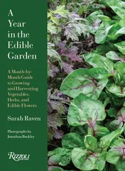 Omslag van A Year in the Edible Garden A Month-by-Month Guide to Growing and Harvesting Vegetables, Herbs, and Edible Flowers
