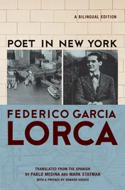 Omslag van A Poet in New York