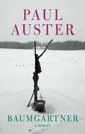 Omslag van Baumgartner