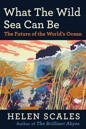 Omslag van What the Wild Sea Can Be The Future of the World's Ocean