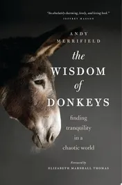 Omslag van The Wisdom of Donkeys Finding Tranquility in a Chaotic World