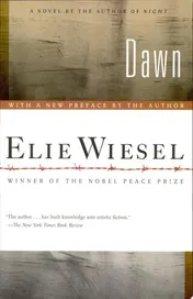 Omslag van Dawn A Novel