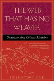 Omslag van The Web That Has No Weaver Understanding Chinese Medicine