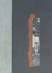Omslag van Nox