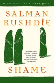 Omslag van Shame A Novel