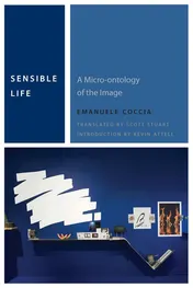 Omslag van Sensible Life A Micro-ontology of the Image