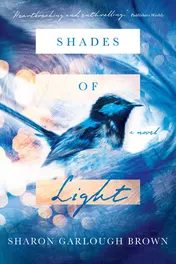 Omslag van Shades of Light A Novel