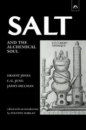 Omslag van Salt and the Alchemical Soul