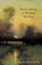 Omslag van Everything is Waiting for You Poems