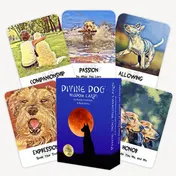 Omslag van Divine Dog Wisdom Cards 2nd Edition