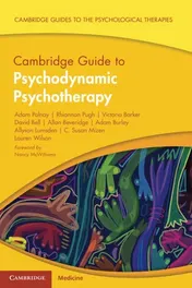 Omslag van Cambridge Guide to Psychodynamic Psychotherapy