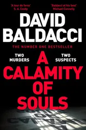 Omslag van A Calamity of Souls