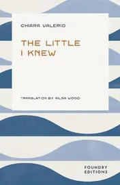 Omslag van The Little I Knew