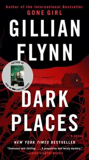 Omslag van Dark Places A Novel