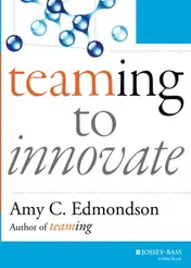 Omslag van Teaming to Innovate