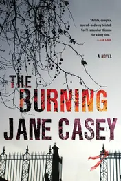 Omslag van The Burning A Maeve Kerrigan Crime Novel