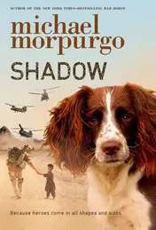 Omslag van Shadow