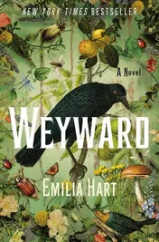 Omslag van Weyward A Novel