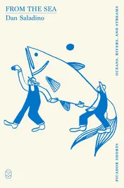 Omslag van From the Sea (Picador Shorts)