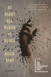 Omslag van At Night All Blood Is Black A Novel