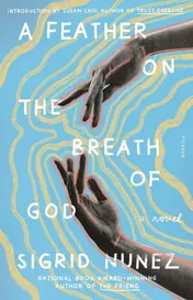 Omslag van A Feather on the Breath of God A Novel