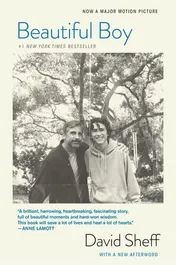 Omslag van Beautiful Boy A Father's Journey Through His Son's Addiction
