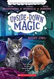 Omslag van Night Owl (Upside-Down Magic #8)