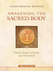 Omslag van Awakening the Sacred Body Tibetan Yogas of Breath and Movement