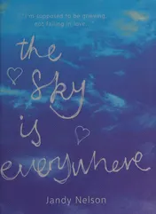 Omslag van The Sky is Everywhere