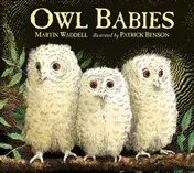 Omslag van Owl Babies