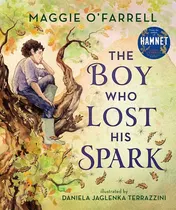 Omslag van The Boy who Lost His Spark
