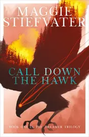 Omslag van Call Down the Hawk