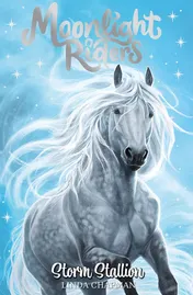 Omslag van Moonlight Ponies: Storm Stallion Book 2